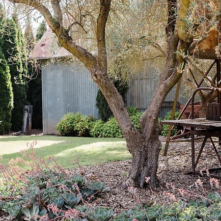 Walnut Tree Cottages Whorouly ภายนอก รูปภาพ