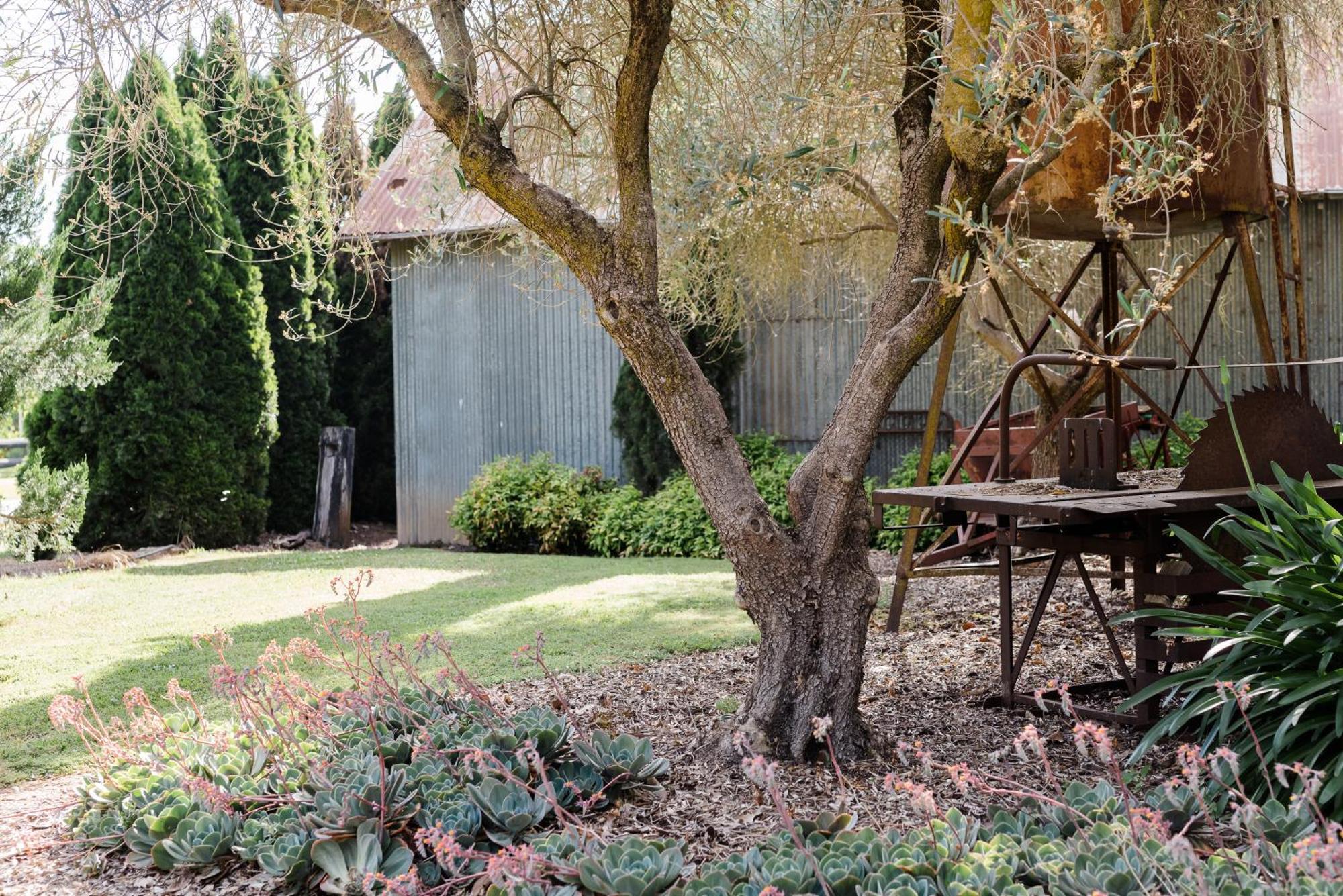Walnut Tree Cottages Whorouly ภายนอก รูปภาพ
