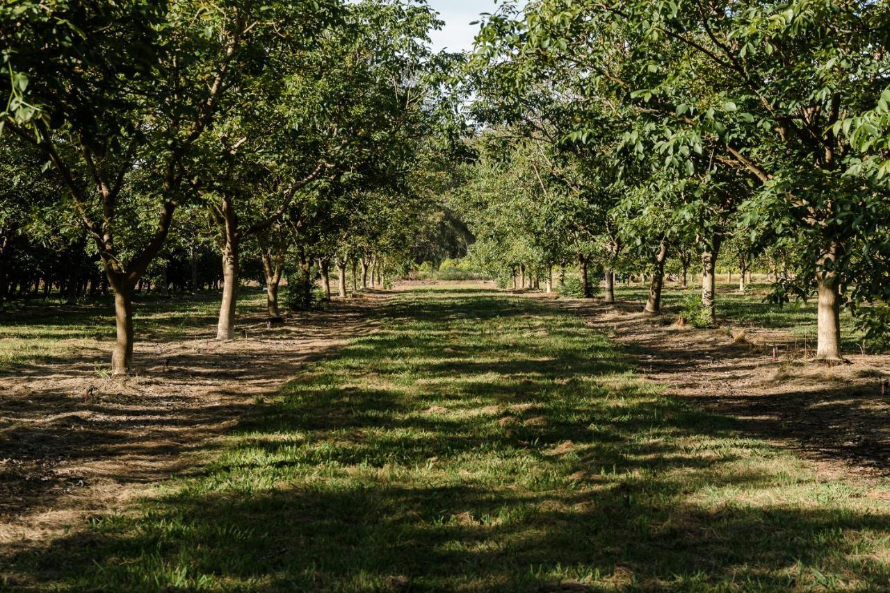 Walnut Tree Cottages Whorouly ภายนอก รูปภาพ