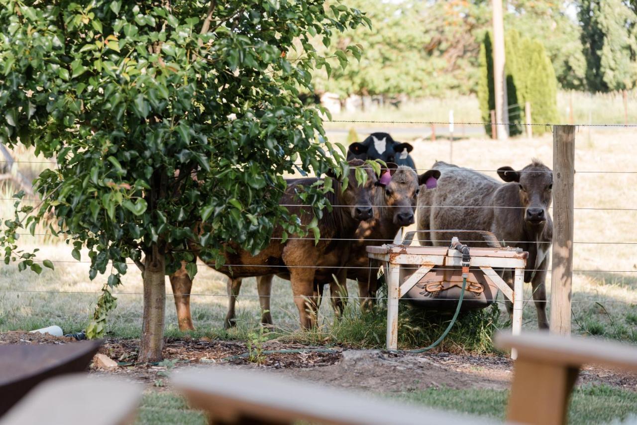 Walnut Tree Cottages Whorouly ภายนอก รูปภาพ